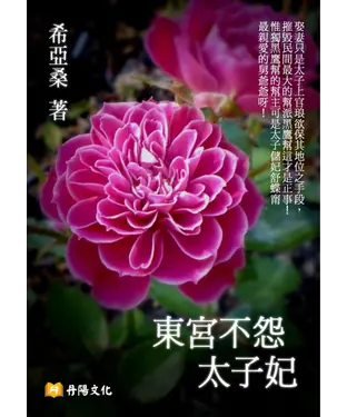書封 東宮不怨太子妃