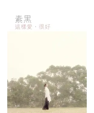 書封 這樣愛，很好