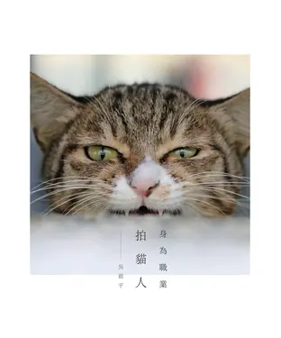 書封 身為職業拍貓人