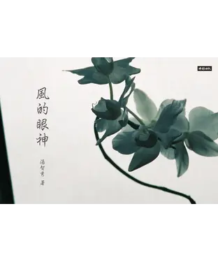 書封 風的眼神