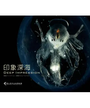 書封 印象深海