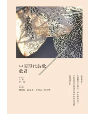 書封 中國現代詩歌欣賞