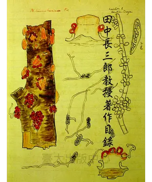 書封 田中長三郎教授著作目錄