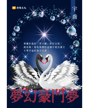 書封 夢幻豪門夢