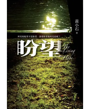 書封 盼望