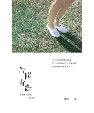 書封 告別青墻