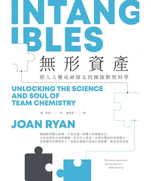 書封 無形資產：將人人變成神隊友的團隊默契科學