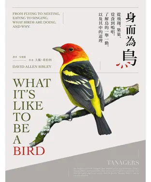 書封 身而為鳥：從飛翔、築巢、覓食到鳴唱，了解鳥的一舉一動，以及其中的道理