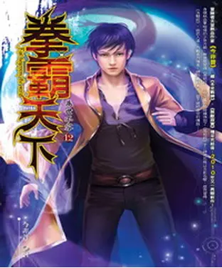 書封 拳霸天下12：為世不容