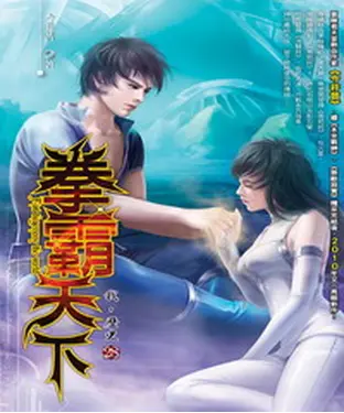書封 拳霸天下28：我，歷史