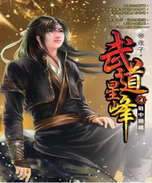 書封 武道星峰04：戰中顯威