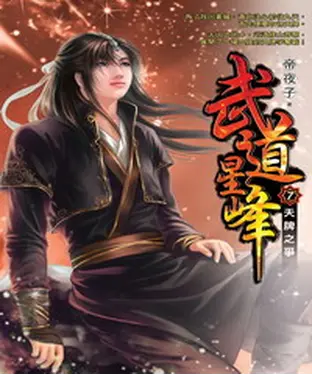 書封 武道星峰07：天牌之爭