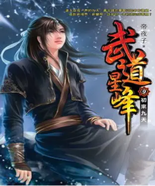 書封 武道星峰09：初來九天