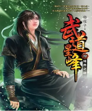 書封 武道星峰10：殘界之謎