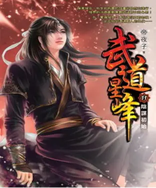 書封 武道星峰11：陰謀初始