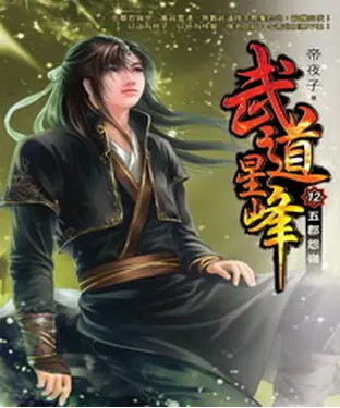 書封 武道星峰12：五郡怨嶺
