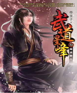 書封 武道星峰13：殲滅敵人