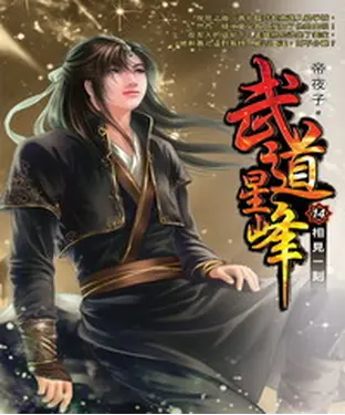 書封 武道星峰14 END：相見一刻
