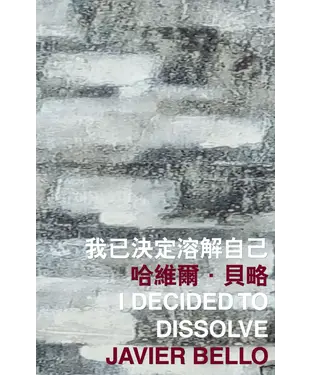 書封 我已決定溶解自己 I Decided to Dissolve