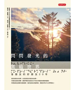 書封 閃閃發光的黑暗世界：盲朋友的好朋友20年