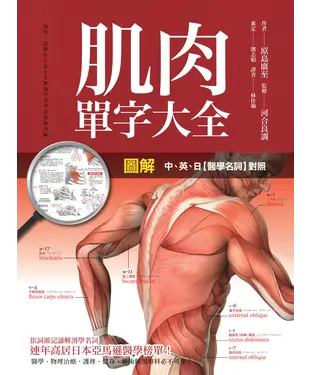 書封 圖解肌肉單字大全